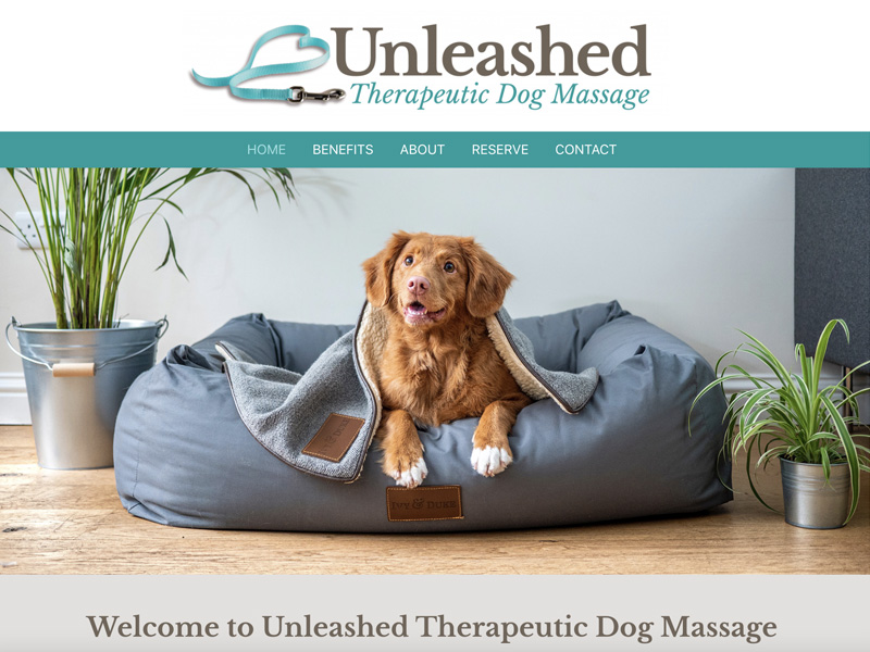 Unleashed Dog Massage